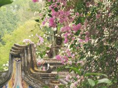 -深圳国际园林花卉博览园