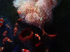 -沈阳海洋探索中心