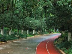-洛龙公园