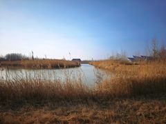 -盐城丹顶鹤湿地生态旅游区