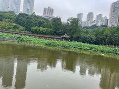 -龙头寺公园