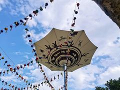 -西双版纳原始森林公园