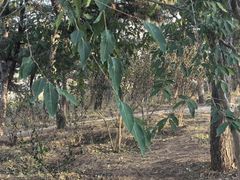 -北京西山国家森林公园