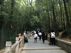 -灵岩山风景区