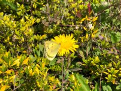 -上海滴水湖皇冠假日酒店