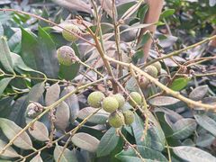 -长春农业博览园