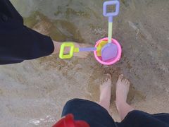 -天鹅湖体育公园