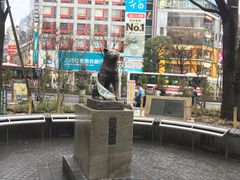 -HARBS(渋谷ヒカリエ シンクス店)
