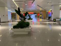 -银川河东国际机场