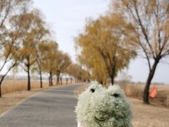 -野鸭湖国家湿地公园