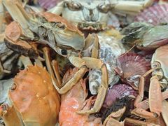 -仙螺岛海鲜自助餐厅(总店)