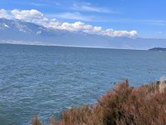 -大理洱海