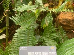 -国家植物园南园