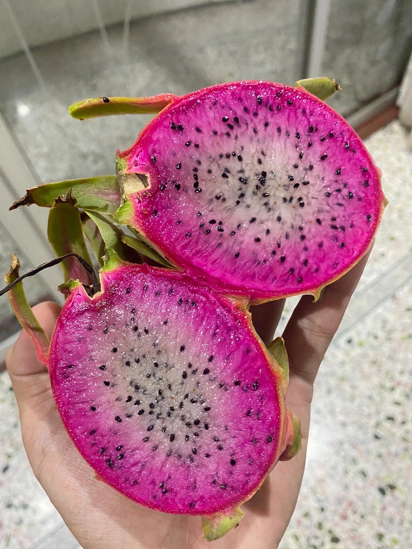冰激凌火龙果