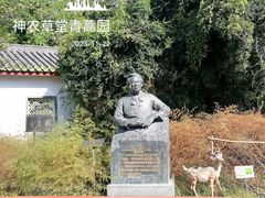 -广州神农草堂中医药博物馆