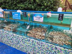 -渔家火锅·海鲜自助餐·演艺(亚龙湾天域酒店)