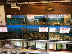 -真浪花园海鲜餐馆