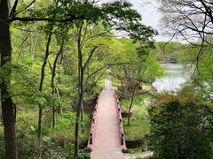 -紫霞湖公园