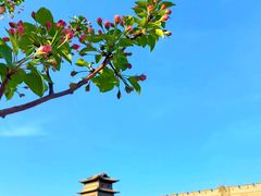 -大同古城墙