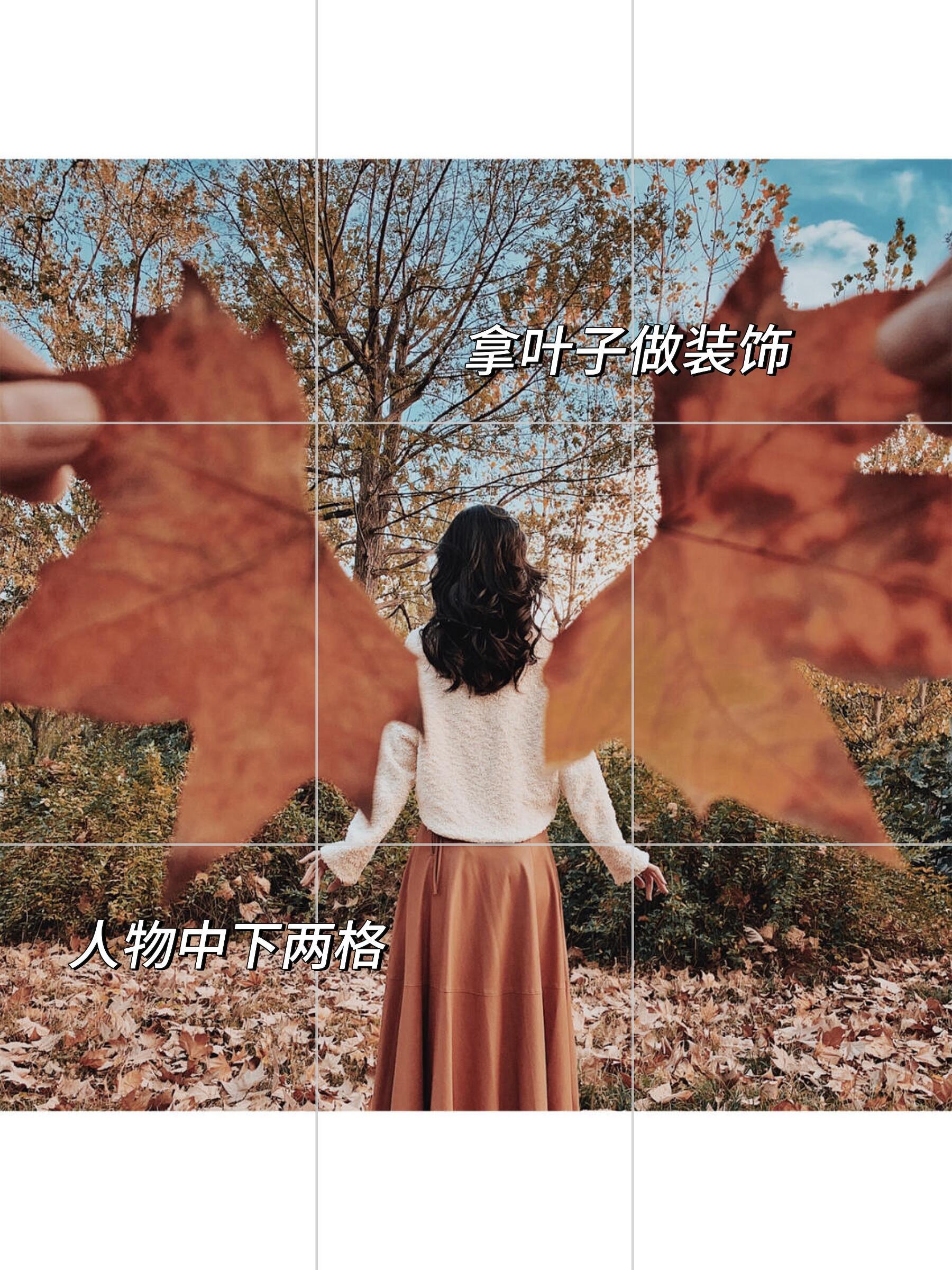 摄影落叶拍摄手法视频教程的简单介绍