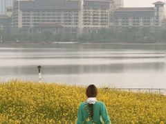 -九龙湖公园