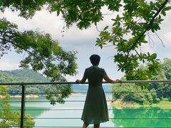 -广州市流溪河国家森林公园