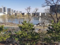 -西海子公园