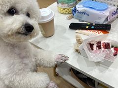 -狐狸爱上椰子鸡(滨江星光大道店)