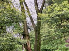 -重庆平顶山公园