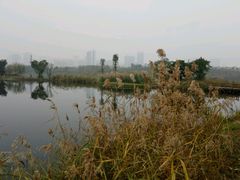 -眉山湿地公园(东坡区)
