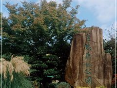 -昆山城市生态森林公园