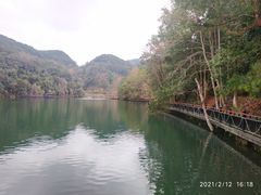-江西阳明山国家森林公园