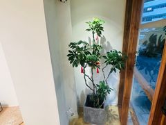 -本無咖啡·BeanWood Coffee