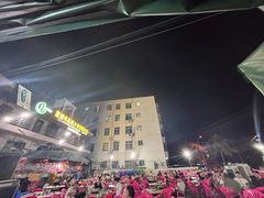 -霞姐屯昌枫木香草鸭店(海螺店)