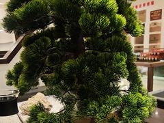 -毛家饭店·30年融合新湘菜(汉峪金谷店)