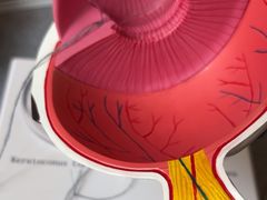 -武汉大学附属爱尔眼科医院(湖北总院)