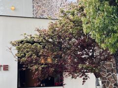 -J Create城市露营咖啡·简餐·宠物(上海动物园店)