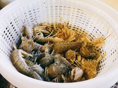 -黄寺蒸汽海鲜(黄寺大街店)
