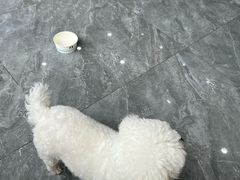 -芭比堂动物医院·CT·微创中心(新顺分院)