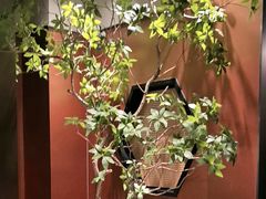-苏淮景·苏闽融创菜·海鲜(原空港井河轩店)