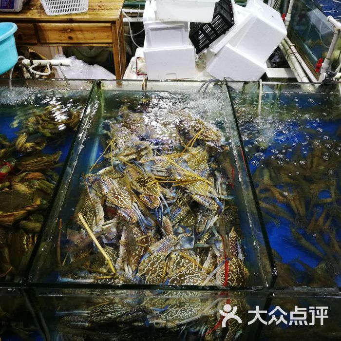 红沙海鲜干海味批发市场