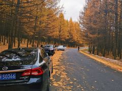 -塞罕坝国家级自然保护区