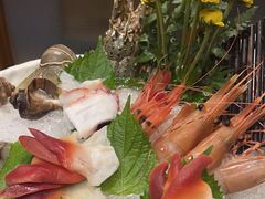 -初花·日本料理