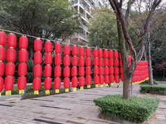-龙湖·春森彼岸