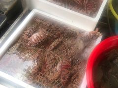 -陈记汤饭(水巷口店)