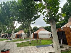 -九十九顶毡房(阜石路店)