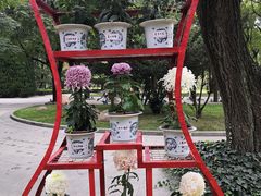 -上海市龙华烈士陵园