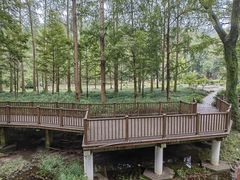 -素山寺森林公园