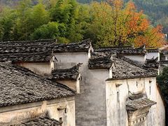 -塔川景区