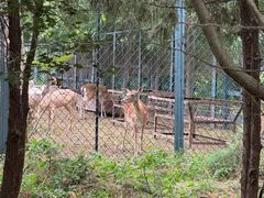 -北京麋鹿生态实验中心